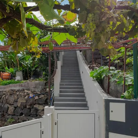Casa Da Vinha - Vagas D Alvorada Holiday home *